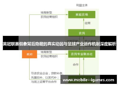 英冠联赛假象背后隐藏的真实动因与足球产业运作机制深度解析 英冠联赛假象背后隐藏的真实动因与足球产业运作机制深度解析