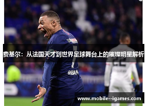 费基尔：从法国天才到世界足球舞台上的璀璨明星解析