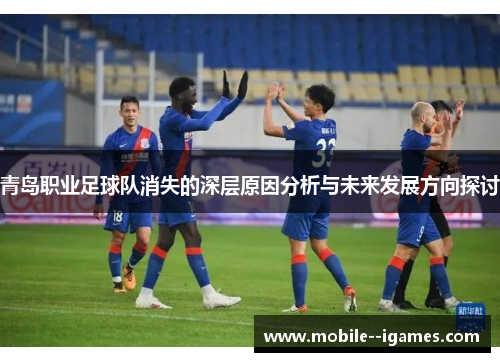 青岛职业足球队消失的深层原因分析与未来发展方向探讨