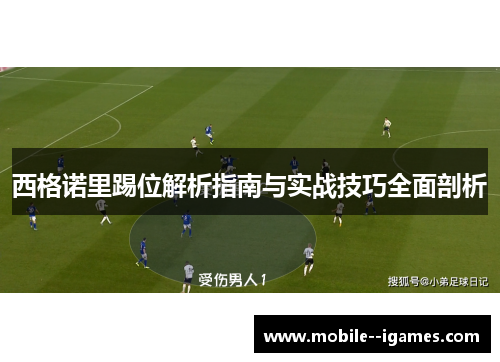 西格诺里踢位解析指南与实战技巧全面剖析 西格诺里踢位解析指南与实战技巧全面剖析