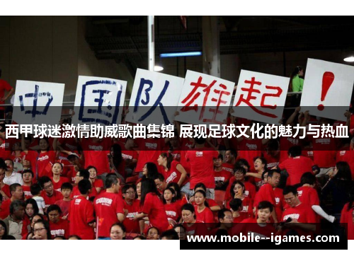 西甲球迷激情助威歌曲集锦 展现足球文化的魅力与热血