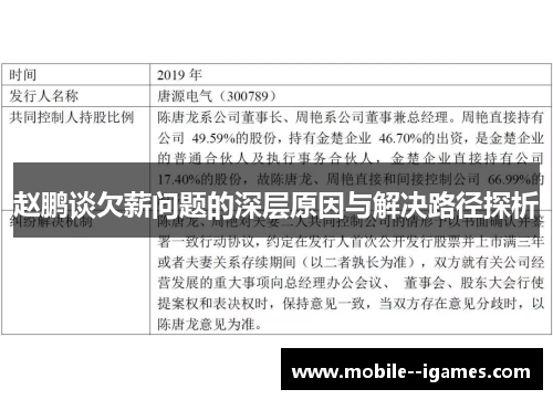 赵鹏谈欠薪问题的深层原因与解决路径探析 赵鹏谈欠薪问题的深层原因与解决路径探析