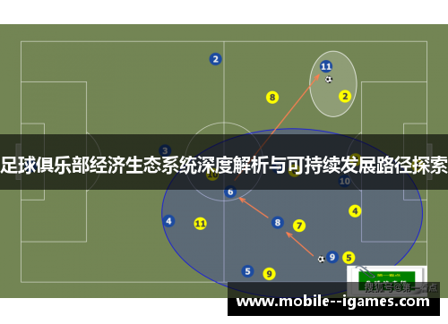 足球俱乐部经济生态系统深度解析与可持续发展路径探索