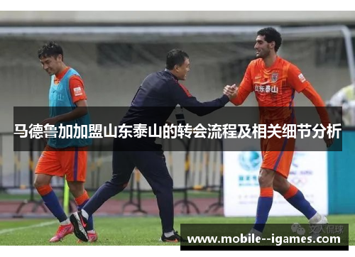 马德鲁加加盟山东泰山的转会流程及相关细节分析
