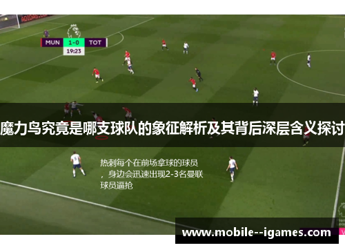 魔力鸟究竟是哪支球队的象征解析及其背后深层含义探讨